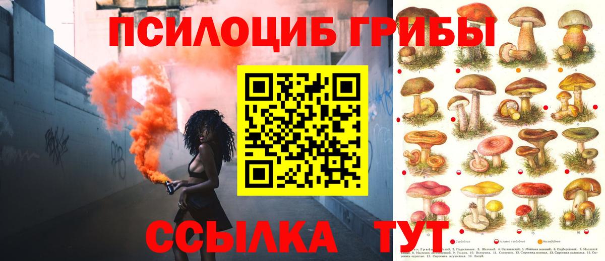 Саяногорск  где продают   Вход с VPN  Псилоцибиновые грибы Magic Shrooms 